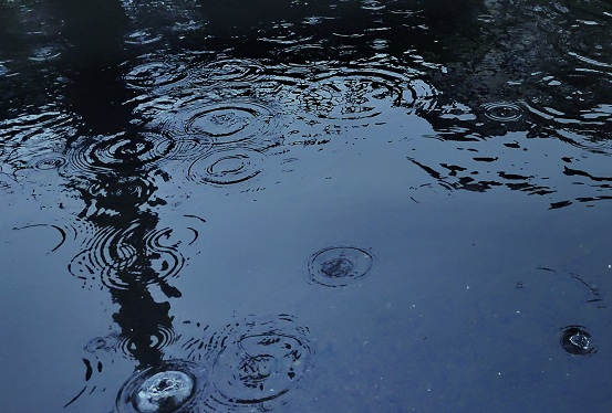 下雨天伤感的句子大全（精选64句）