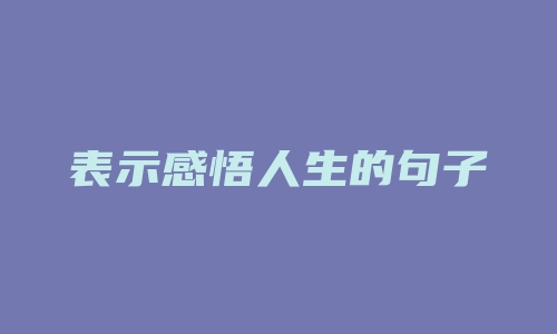 表示感悟人生的句子