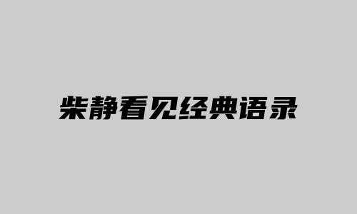 柴静看见经典语录