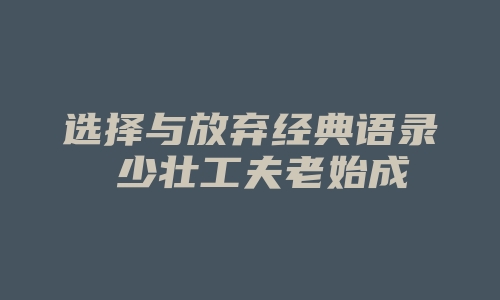 选择与放弃经典语录 少壮工夫老始成