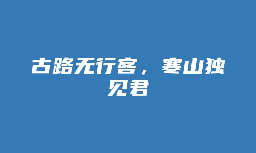 古路无行客，寒山独见君