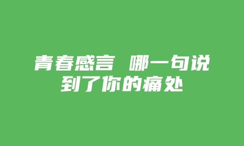 青春感言 哪一句说到了你的痛处