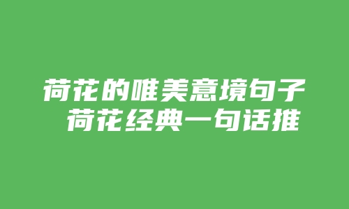 荷花的唯美意境句子 荷花经典一句话推荐