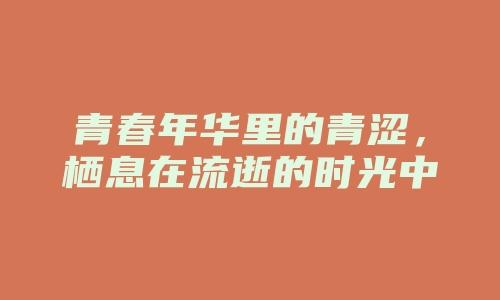 青春年华里的青涩，栖息在流逝的时光中，默数着思念的长度