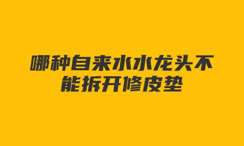 哪种自来水水龙头不能拆开修皮垫