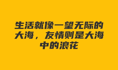 生活就像一望无际的大海，友情则是大海中的浪花