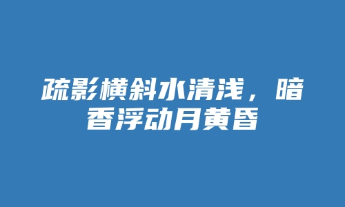 疏影横斜水清浅，暗香浮动月黄昏