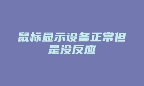 鼠标显示设备正常但是没反应