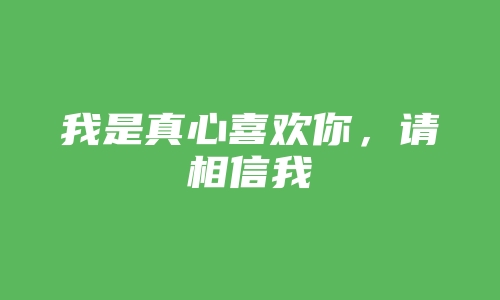 我是真心喜欢你，请相信我