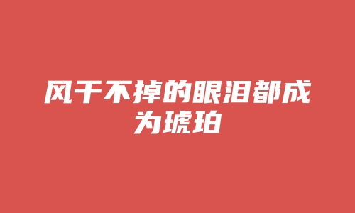 风干不掉的眼泪都成为琥珀