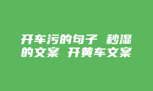 开车污的句子 秒湿的文案 开黄车文案