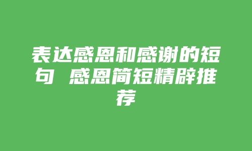 表达感恩和感谢的短句 感恩简短精辟推荐