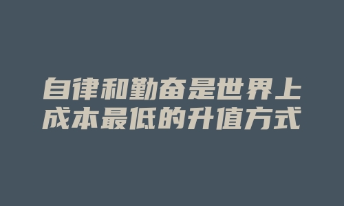 自律和勤奋是世界上成本最低的升值方式