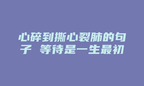 心碎到撕心裂肺的句子 等待是一生最初的苍老