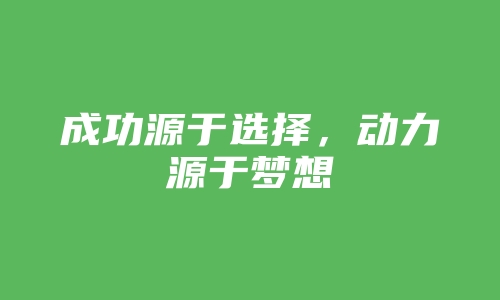 成功源于选择，动力源于梦想