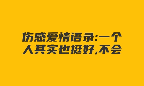 伤感爱情语录:一个人其实也挺好,不会哭也不会闹