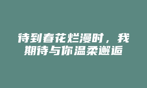 待到春花烂漫时，我期待与你温柔邂逅