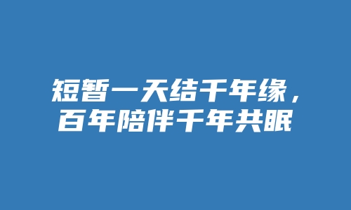 短暂一天结千年缘，百年陪伴千年共眠