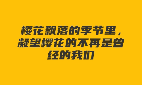 樱花飘落的季节里，凝望樱花的不再是曾经的我们