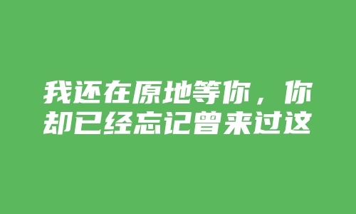 我还在原地等你，你却已经忘记曾来过这里