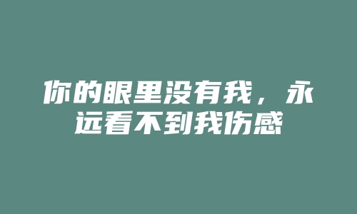 你的眼里没有我，永远看不到我伤感