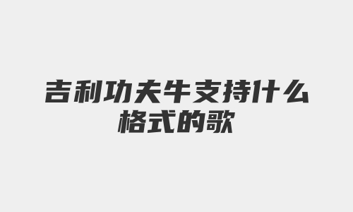 吉利功夫牛支持什么格式的歌