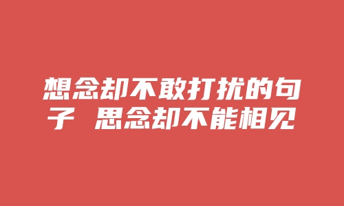 想念却不敢打扰的句子 思念却不能相见的句子