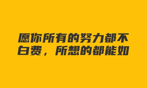 愿你所有的努力都不白费，所想的都能如愿