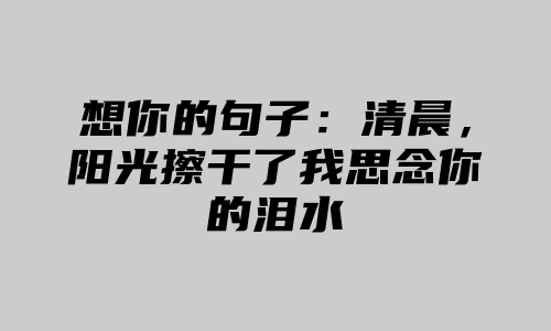 想你的句子：清晨，阳光擦干了我思念你的泪水