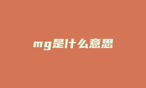 mg是什么意思