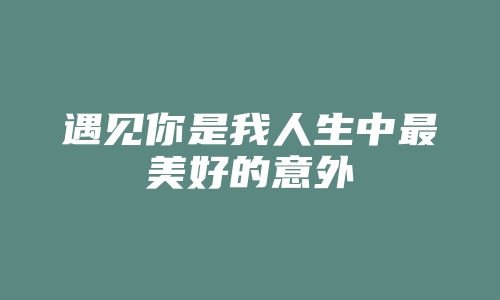 遇见你是我人生中最美好的意外