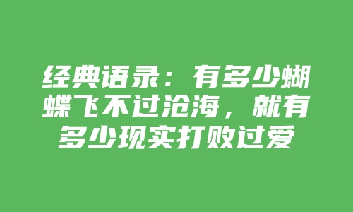 经典语录：有多少蝴蝶飞不过沧海，就有多少现实打败过爱