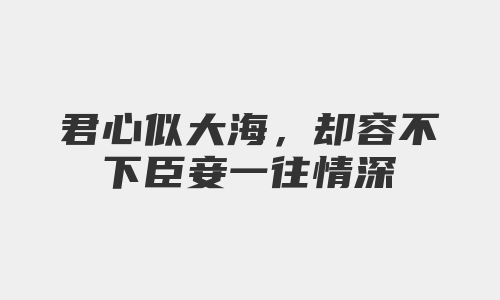 君心似大海，却容不下臣妾一往情深