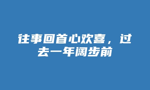 往事回首心欢喜，过去一年阔步前