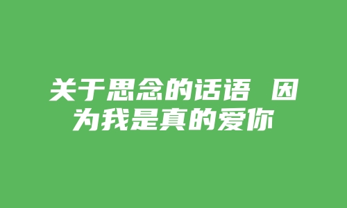 关于思念的话语 因为我是真的爱你