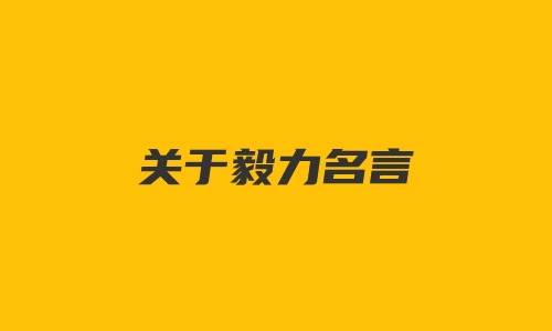 关于毅力名言